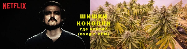 спайс Новодвинск
