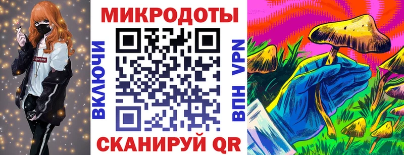 закладка  Усть-Джегута  Галлюциногенные грибы прущие грибы 