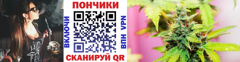 Шишки марихуана семена  магазин    Усть-Джегута 